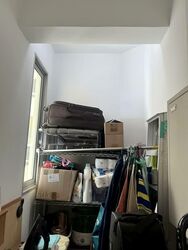 Rafflesia Condominium (D20), Condominium #592669681